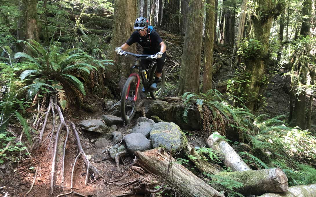 Mountain Bike Olallie Trail