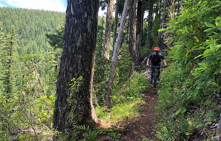 King Castle Trail in McKenzie