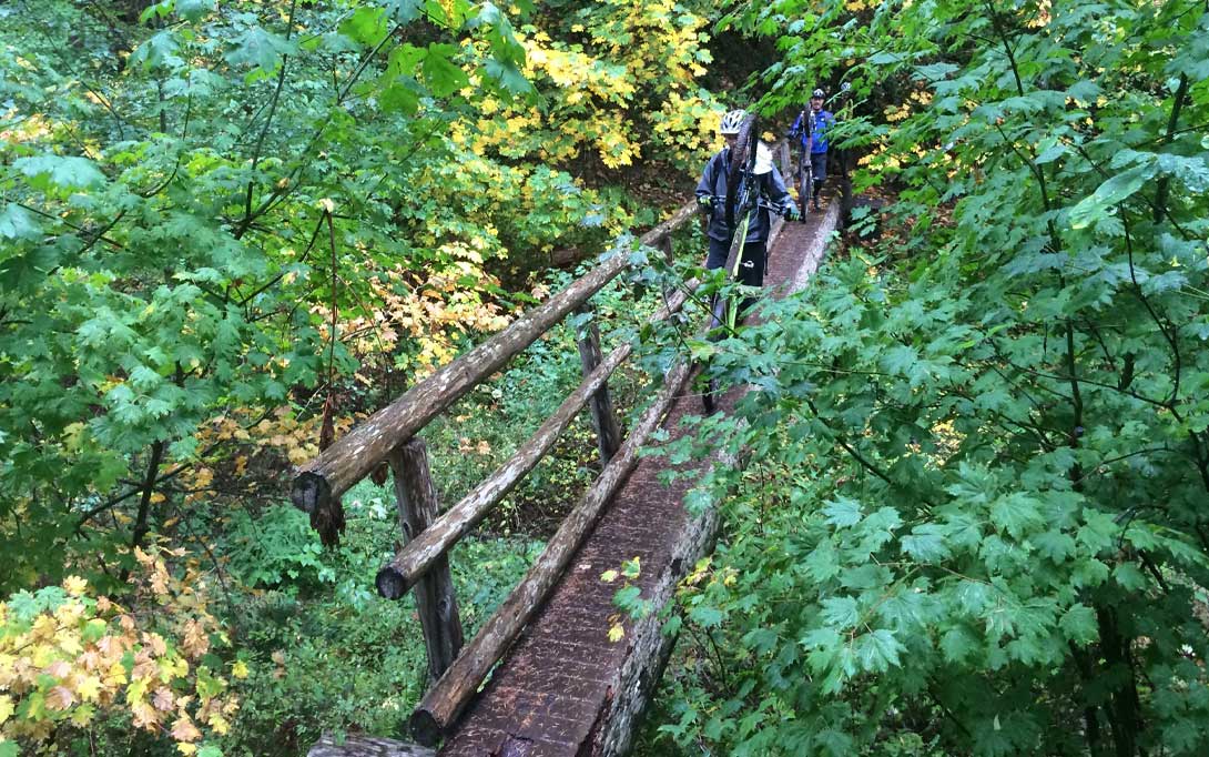 McKenzie River Trail Bridge