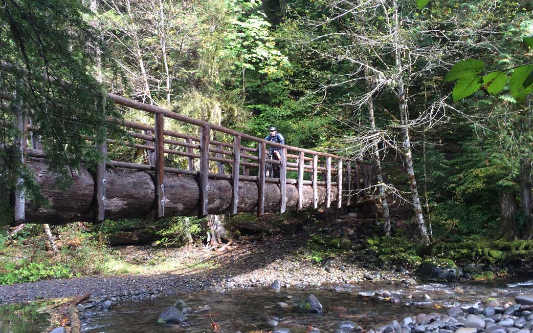 McKenzie River Trail Crossing