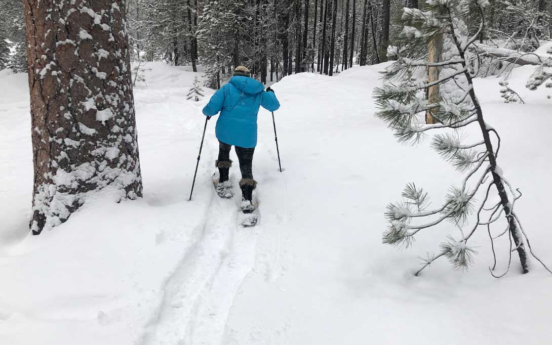 Snowshoeing in forest
