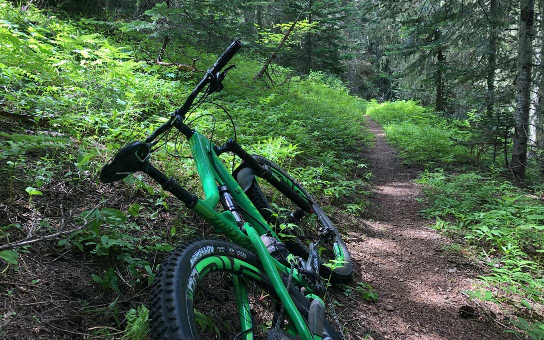 O’Leary Trail Mountain Bike