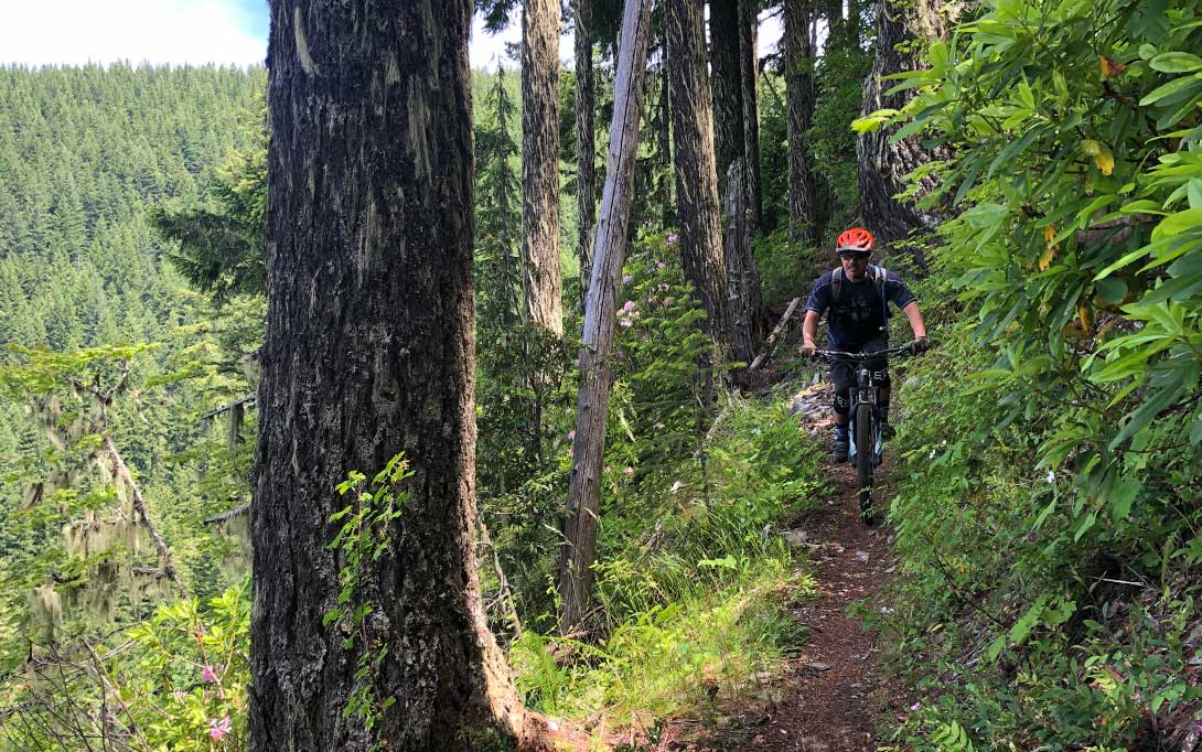 Olallie state park mountain best sale bike trail