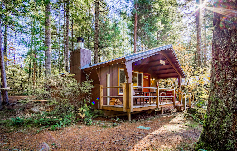 Cabin in Forest