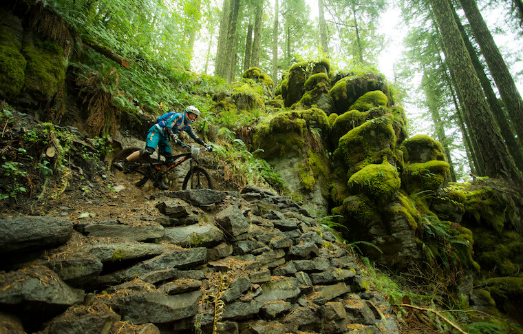 Vanweelden oleary trail