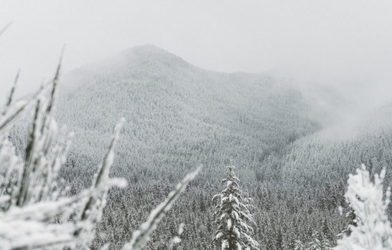 Winter Activities in Willamette National Forest
