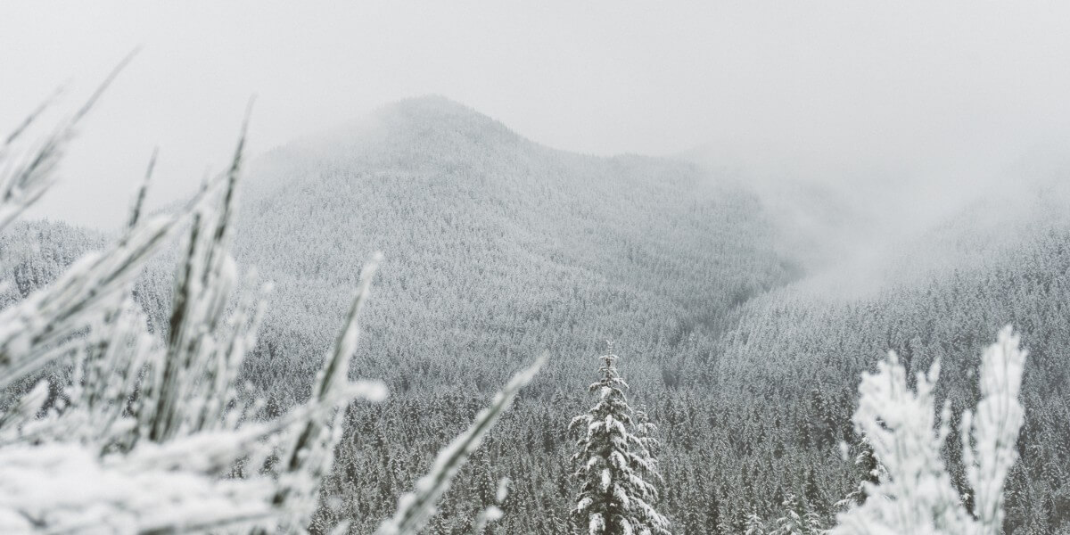Winter Activities in Willamette National Forest